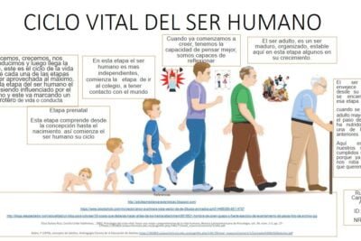 etapas del crecimiento humano recorrido y desarrollo vital