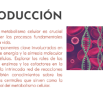 explorando el metabolismo su importancia y definicion clave