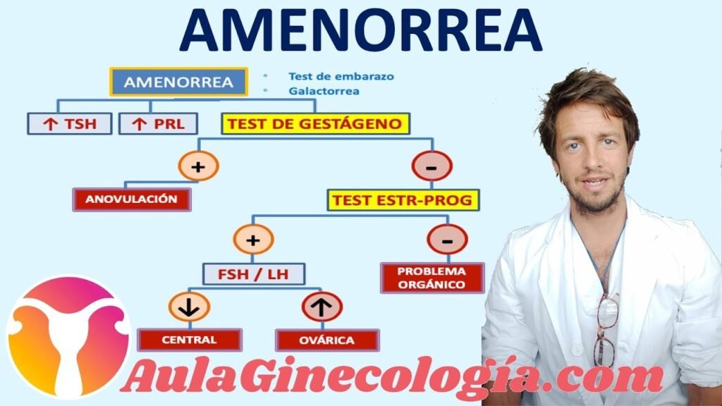 explorando la amenorrea definicion causas y hormonales