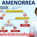 explorando la amenorrea definicion causas y hormonales