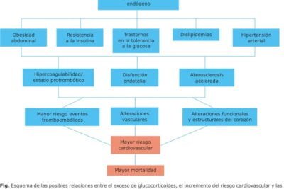 factores de riesgo para desarrollar sindrome de cushing