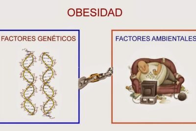 factores geneticos que influyen en la obesidad humana