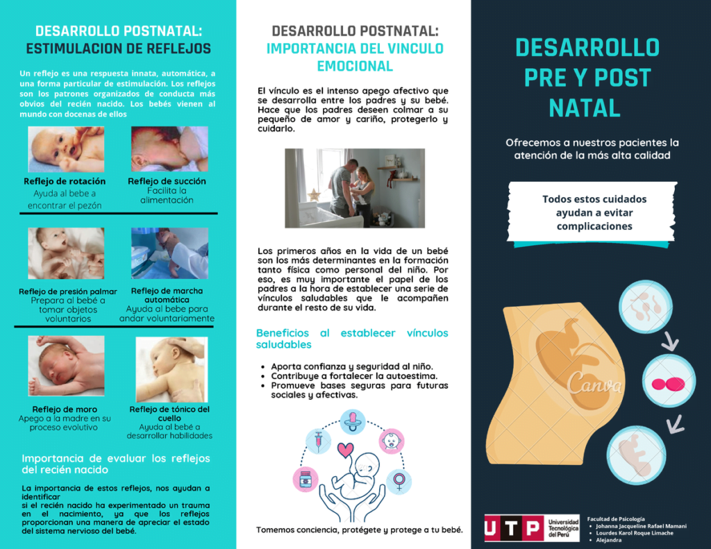 factores prenatales que influyen en el crecimiento postnatal