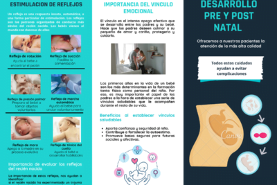 factores prenatales que influyen en el crecimiento postnatal