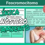 Feocromocitoma: definición, síntomas y lo que debes saber