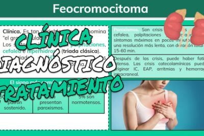 feocromocitoma definicion sintomas y lo que debes saber