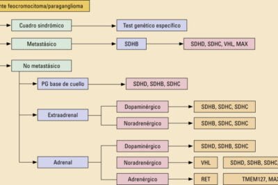 feocromocitoma diagnostico y tratamiento eficaz del trastorno