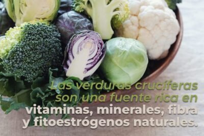 fitoestrogenos fuentes naturales y beneficios para la salud