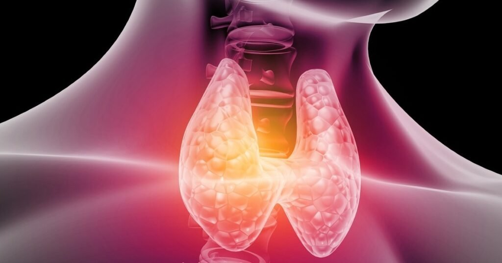 Función de la tiroxina en el cuerpo y su impacto en la salud 1 funcion de la tiroxina en el cuerpo y su impacto en la salud