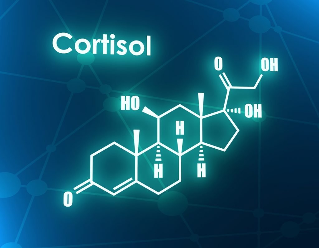 funcion y regulacion del cortisol efectos esenciales a conocer