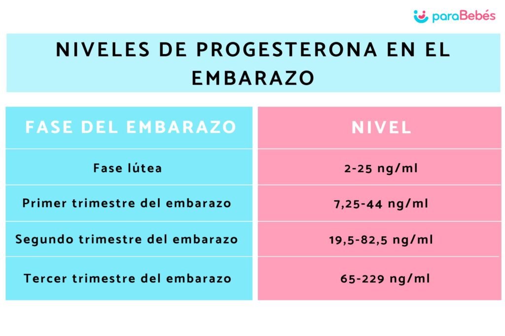 funciones y datos clave sobre la progesterona que debes saber