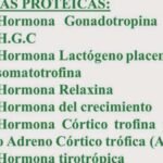 Funciones y importancia de las hormonas peptídicas esenciales