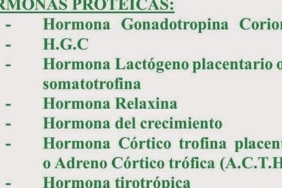 funciones y importancia de las hormonas peptidicas esenciales