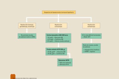guia completa sobre las pruebas de estimulacion hormonal