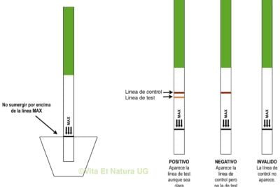 guia para interpretar resultados en pruebas de fertilidad