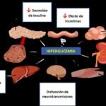 guia para tratar adecuadamente un eje hormonal disfuncional