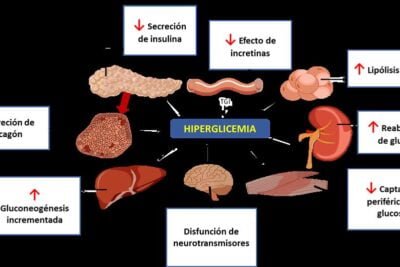 guia para tratar adecuadamente un eje hormonal disfuncional