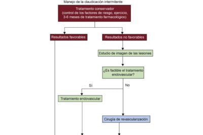 guia practica para desarrollar un diario de glucosa efectivo
