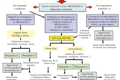guia practica para el manejo de la hipoglucemia en ninos
