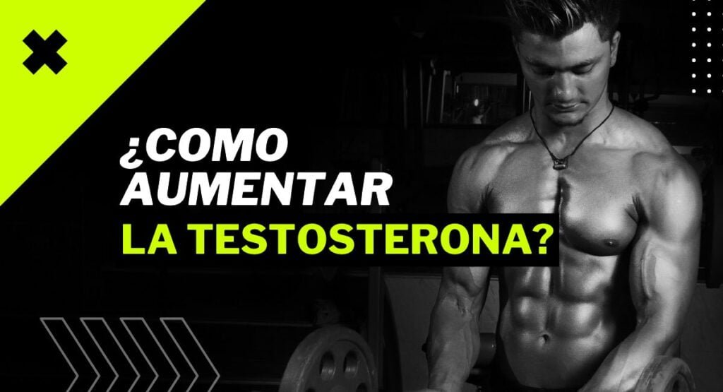 habitos de vida que optimizan la produccion de testosterona