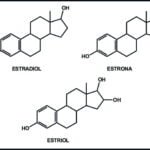 herencia y produccion de estrogenos factores clave explicados