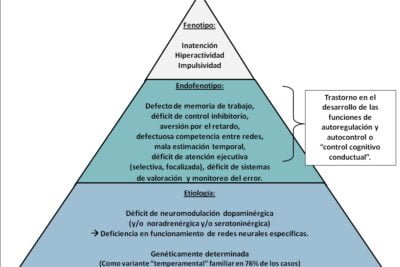 hiperactividad evidencias cientificas y su vinculo con el ambiente