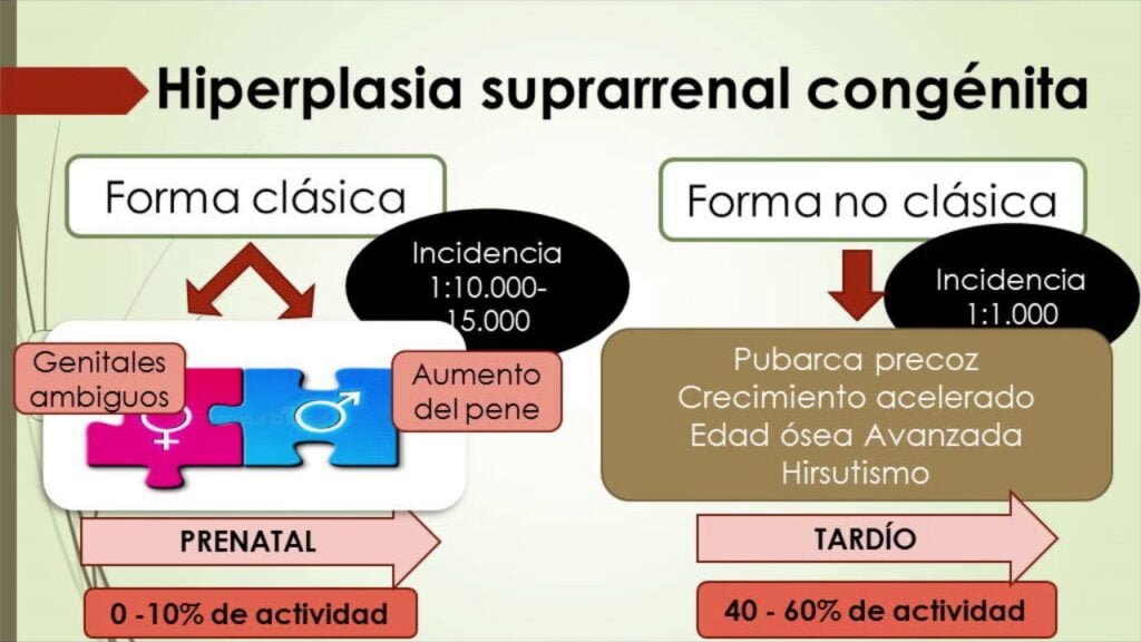 hiperplasia adrenal congenita causas sintomas y tratamientos