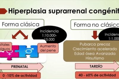 hiperplasia adrenal congenita causas sintomas y tratamientos