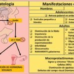 Hiperprolactinemia: todo lo que necesitas saber y sus efectos