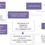 hipertension en el embarazo causas riesgos y cuidados clave