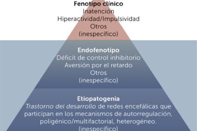 hipoactividad hallazgos y analisis de estudios longitudinales