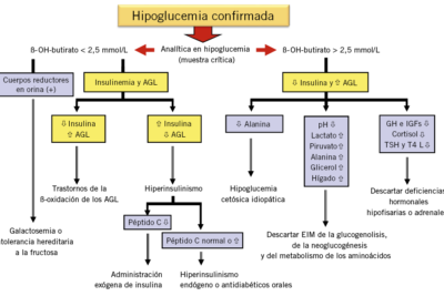 hipoglucemia y su relacion con enfermedades metabolicas