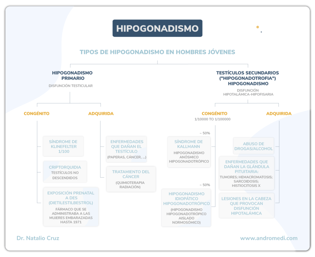 hipogonadismo causas y sintomas que debes conocer