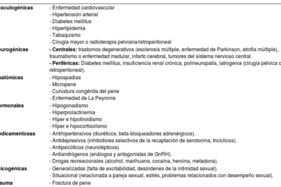 hipogonadismo y su relacion con la hipoactividad explicada