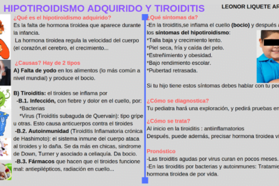hipotiroidismo autoinmune causas sintomas y tratamientos clave
