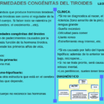 Hipotiroidismo: síntomas, causas y tratamientos efectivos