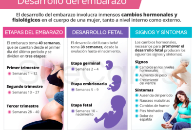 hormonas en el embarazo que ocurre y como afectan al cuerpo