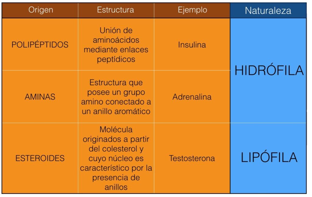 Hormonas peptídicas y su impacto en la homeostasis corporal 1 hormonas peptidicas y su impacto en la homeostasis corporal
