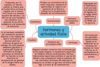 hormonas que influyen en el rendimiento fisico en el deporte