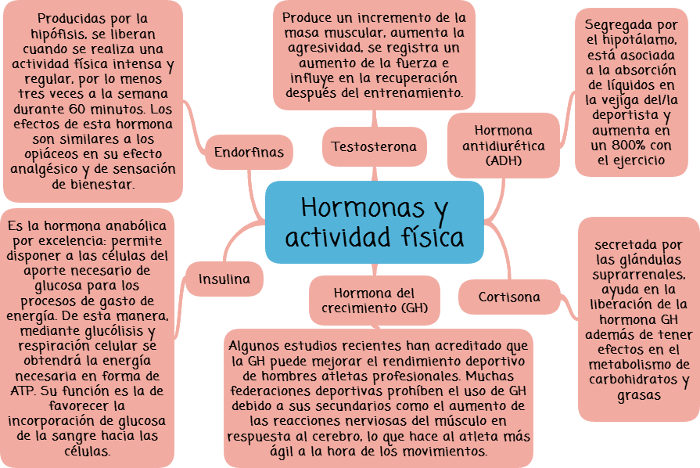 hormonas que influyen en el rendimiento fisico en el deporte