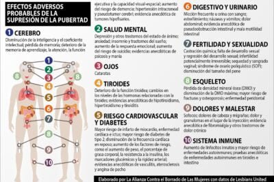 hormonas y enfermedades autoinmunes un analisis detallado