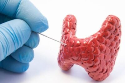 hormonas y hipoactividad su impacto crucial en la salud