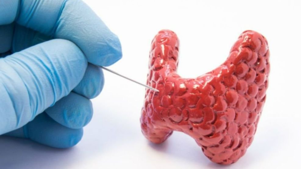Hormonas y hipoactividad: su impacto crucial en la salud 1 hormonas y hipoactividad su impacto crucial en la salud