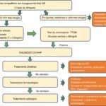 Impacto de cambios en la dieta en episodios de hipoglucemia