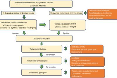 impacto de cambios en la dieta en episodios de hipoglucemia