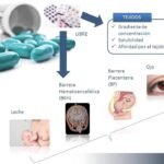 Impacto de fármacos en el metabolismo humano: análisis detallado