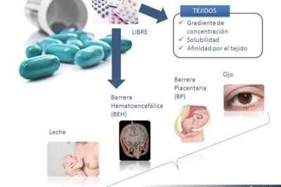impacto de farmacos en el metabolismo humano analisis detallado