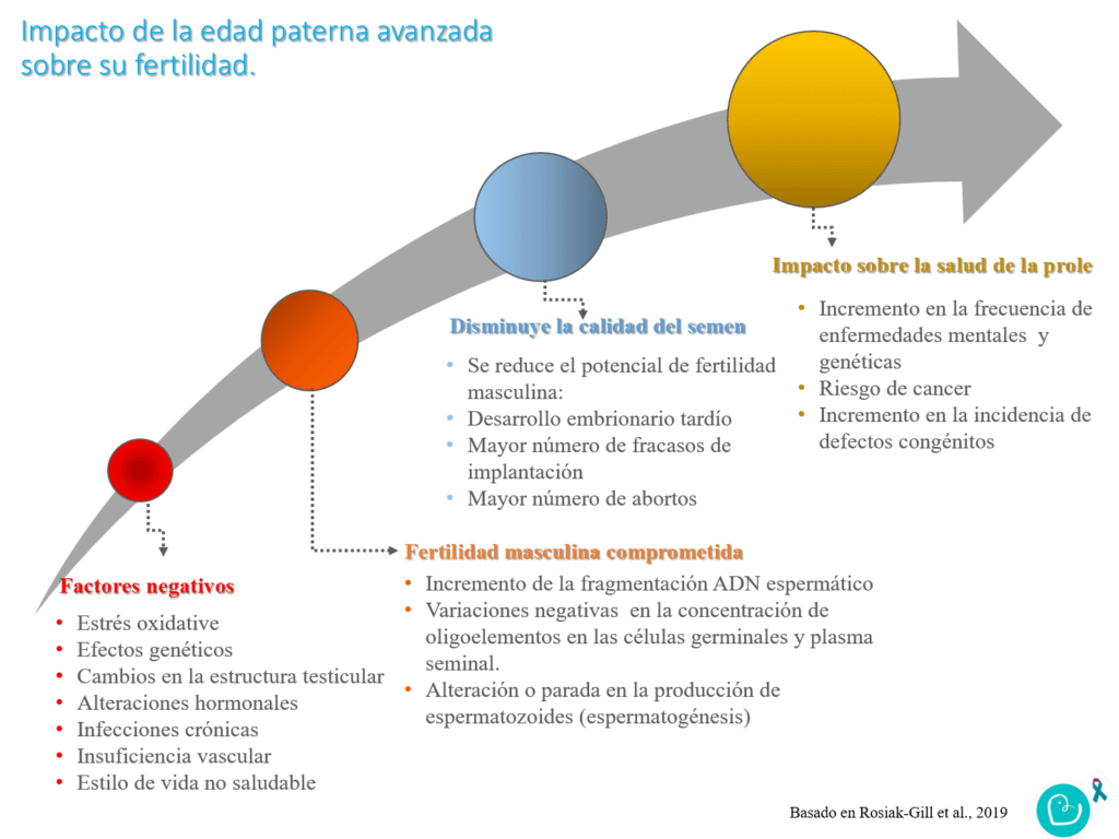 Impacto de la Edad en la Fertilidad Masculina: Factores Clave 1 impacto de la edad en la fertilidad masculina factores clave