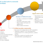 impacto de la edad en la fertilidad masculina factores clave