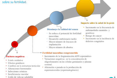 impacto de la edad en la fertilidad masculina factores clave